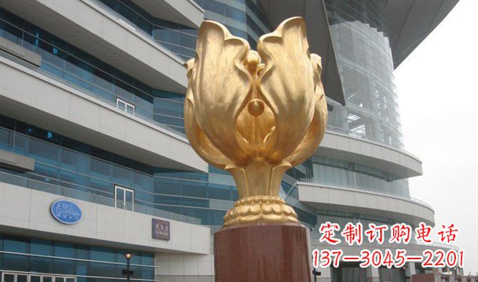 岳阳不锈钢紫荆花之美