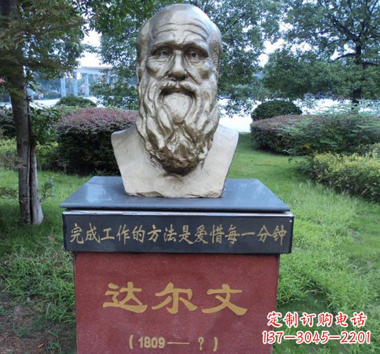 岳阳铜雕达尔文头像雕塑