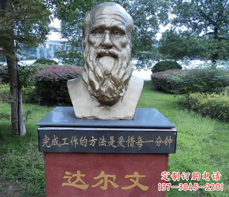 岳阳铜雕校园达尔文肖像雕塑