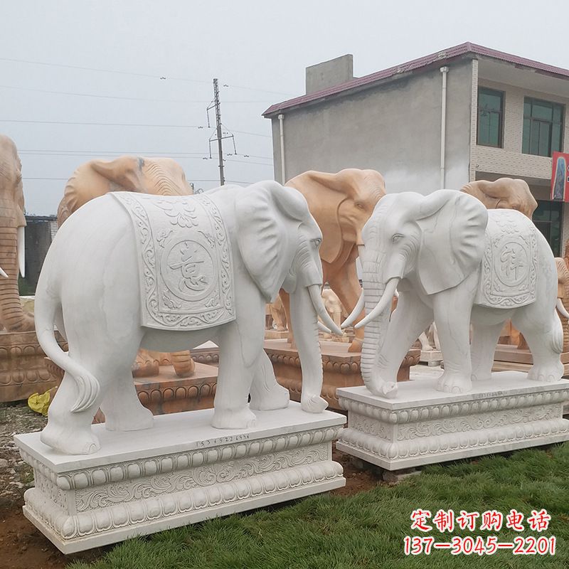 岳阳学校石雕大象